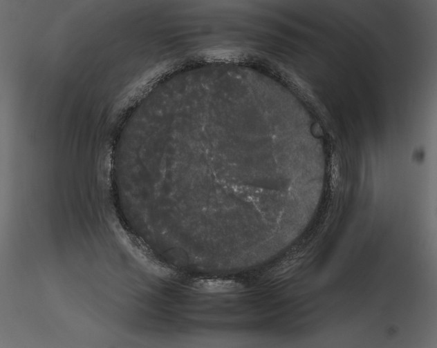 X0000115720637200912241605
