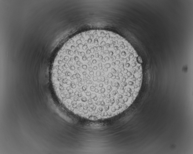 X0000115720638200912241605