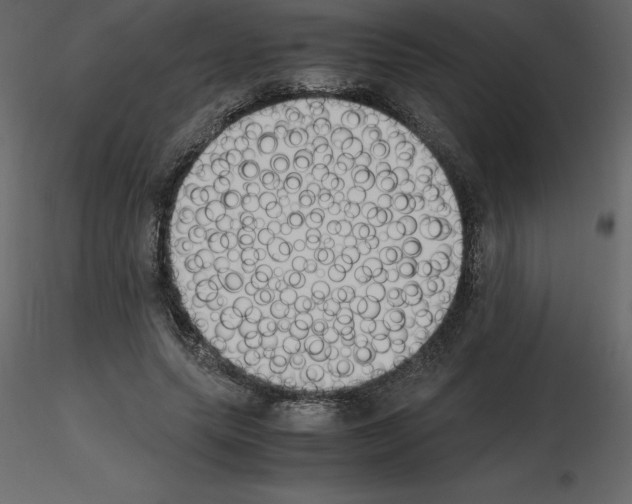 X0000115720639200912241605
