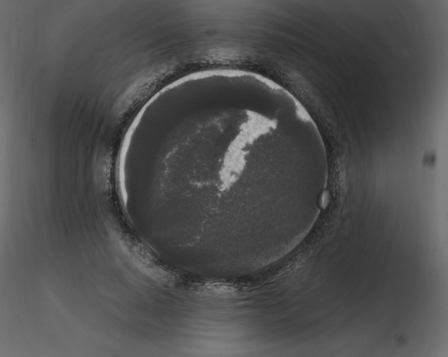 X0000115720640200912241605