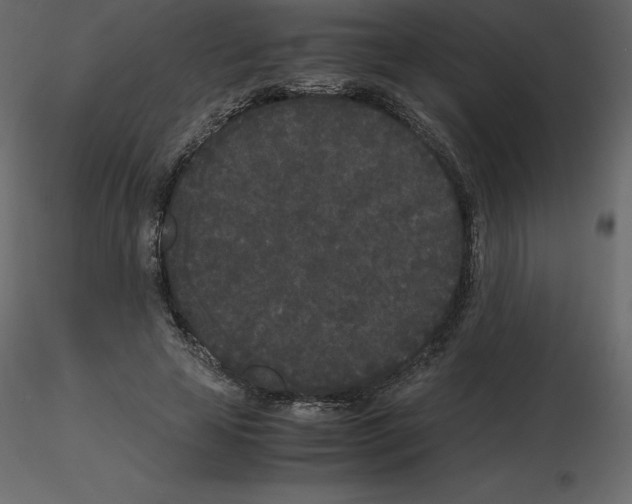 X0000115720641200912241606