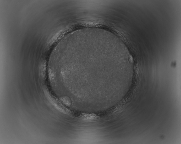 X0000115720642200912241606