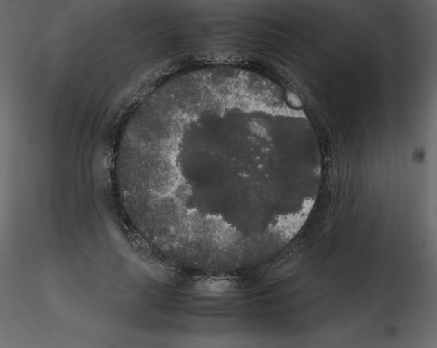 X0000115720643200912241606