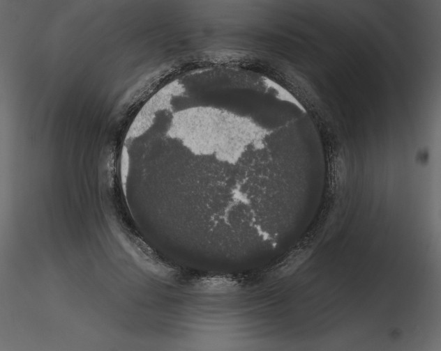 X0000115720644200912241606