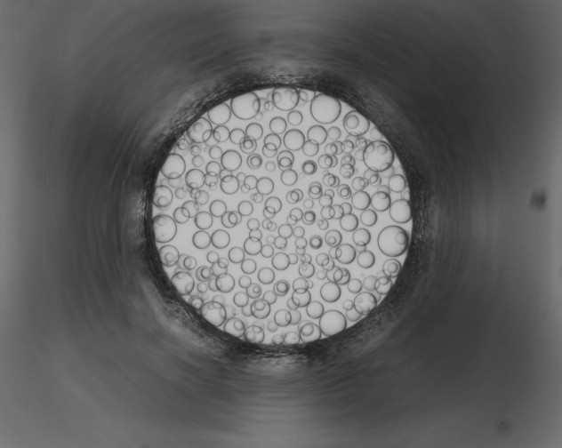 X0000115720646200912241606