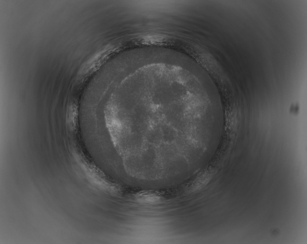 X0000115720648200912241606