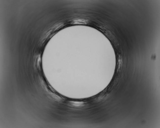 X0000115720649200912241606