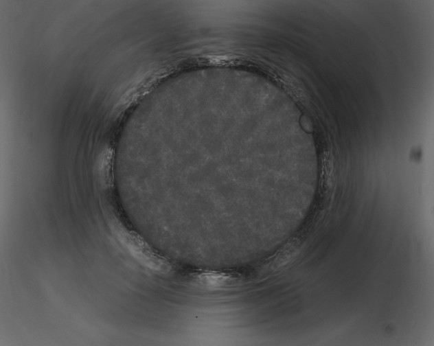 X0000115720650200912241606