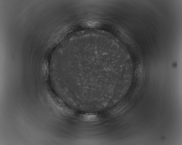 X0000115720651200912241606