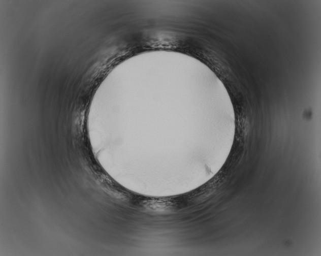 X0000115720652200912241606
