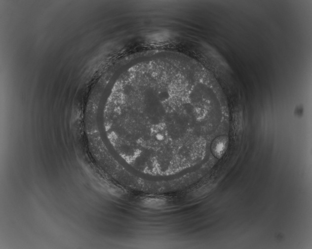 X0000115720653200912241606
