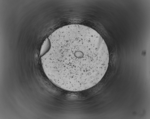X0000115720655200912241606