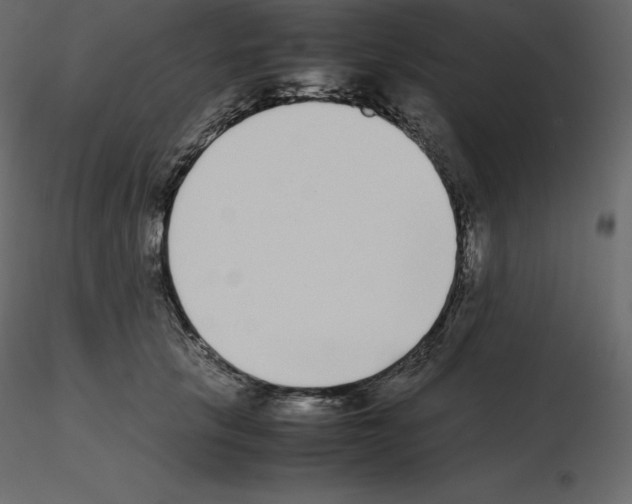 X0000115720657200912241606