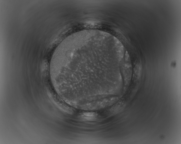 X0000115720659200912241606