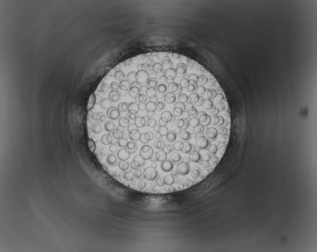 X0000115720662200912241606