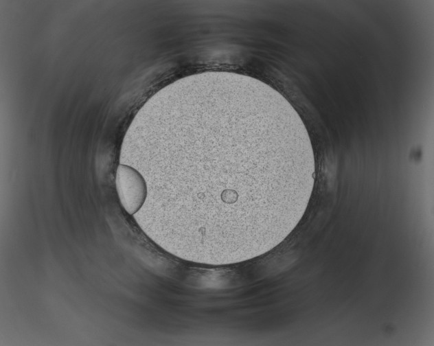 X0000115720663200912241606