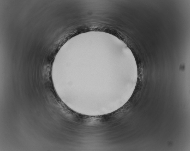 X0000115720664200912241606
