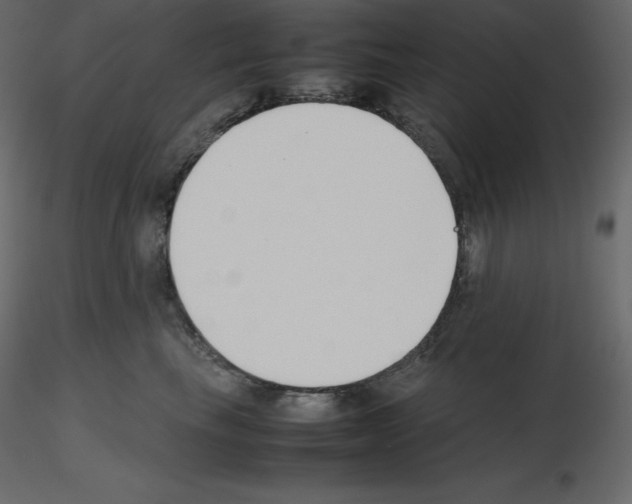 X0000115720665200912241606