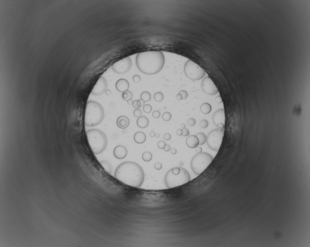 X0000115720666200912241606