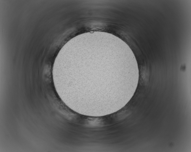 X0000115720667200912241606