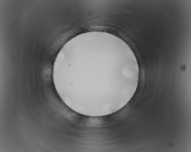 X0000115720668200912241606