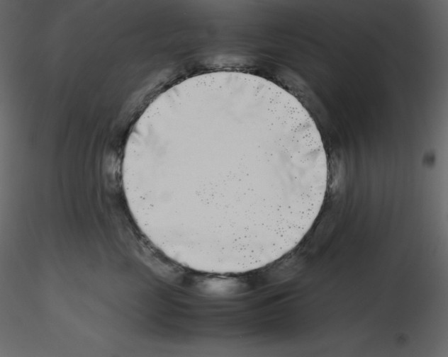 X0000115720669200912241606