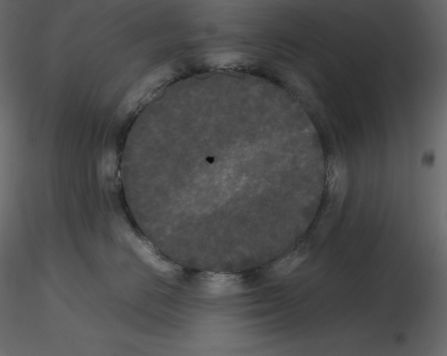 X0000115720670200912241606