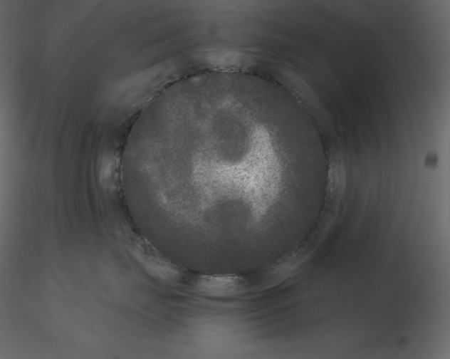 X0000115720671200912241606