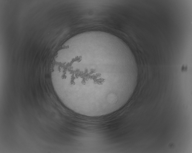X0000115720672200912241606