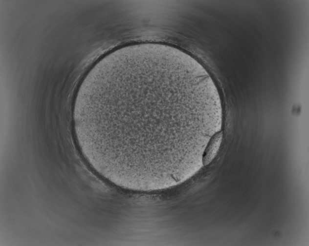 X0000115720673200912241605