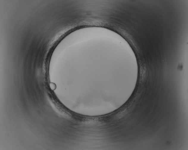X0000115720674200912241605