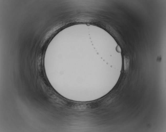 X0000115720675200912241605