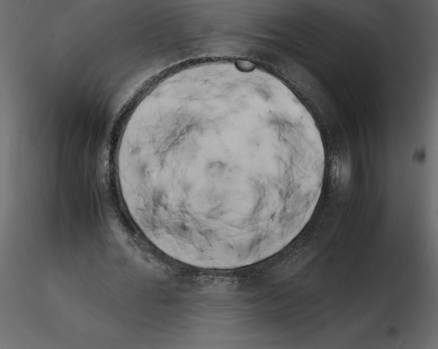 X0000115720676200912241605