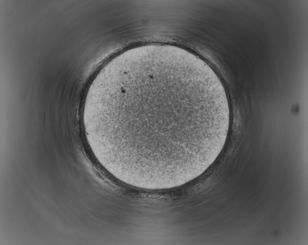 X0000115720677200912241605