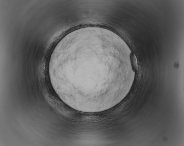 X0000115720680200912241605