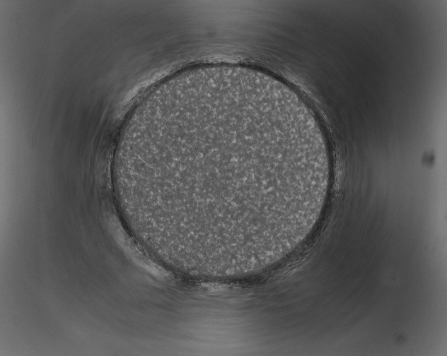 X0000115720681200912241605
