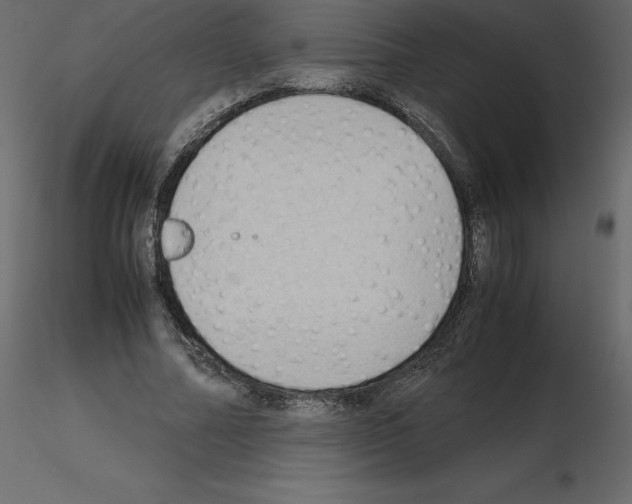 X0000115720682200912241605