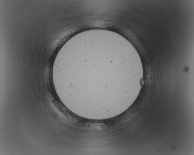 X0000115720683200912241605