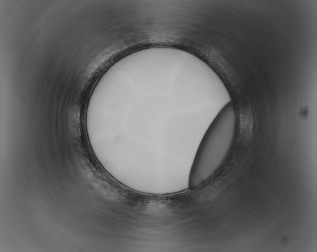 X0000115720684200912241605