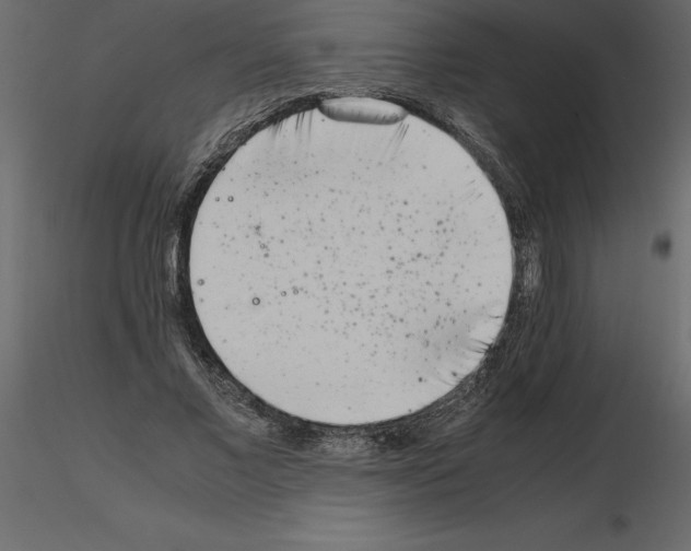 X0000115720685200912241605