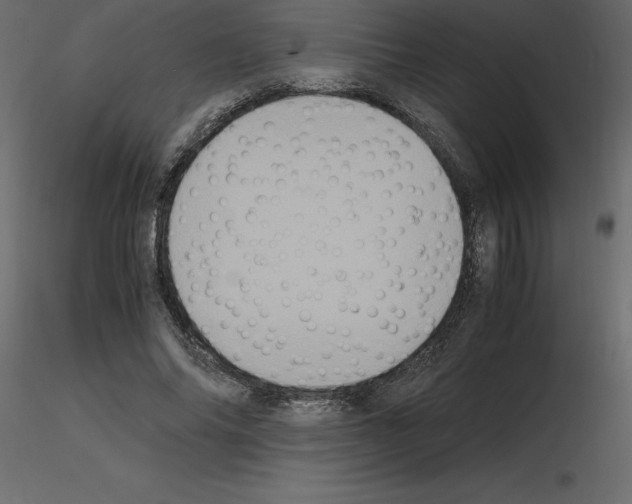 X0000115720686200912241605