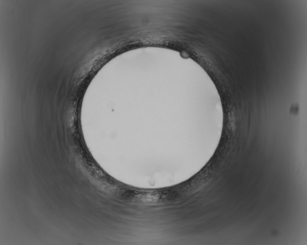 X0000115720687200912241605