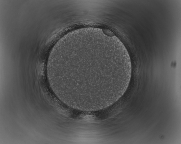 X0000115720689200912241605