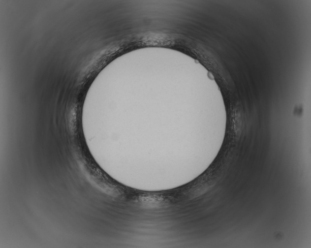 X0000115720690200912241605