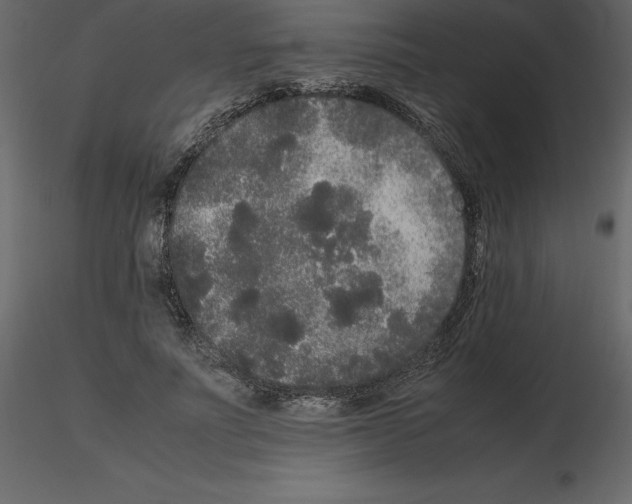 X0000115720691200912241605