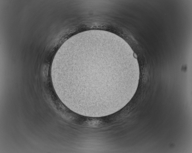 X0000115720695200912241605