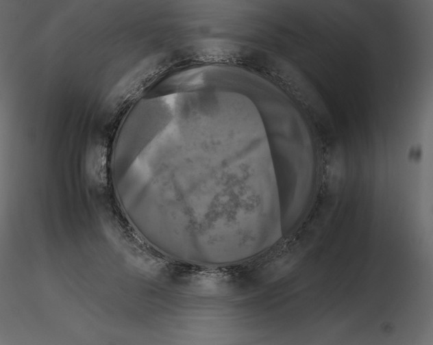 X0000115720696200912241605
