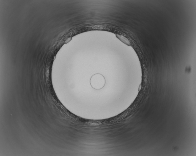 X0000115720697200912241605