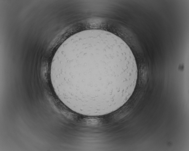 X0000115720698200912241605