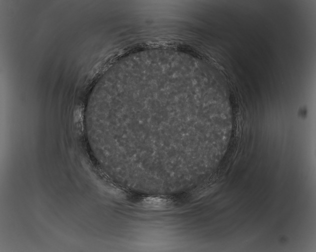 X0000115720699200912241605